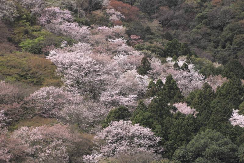 亀山展望台（第一）_004.jpg