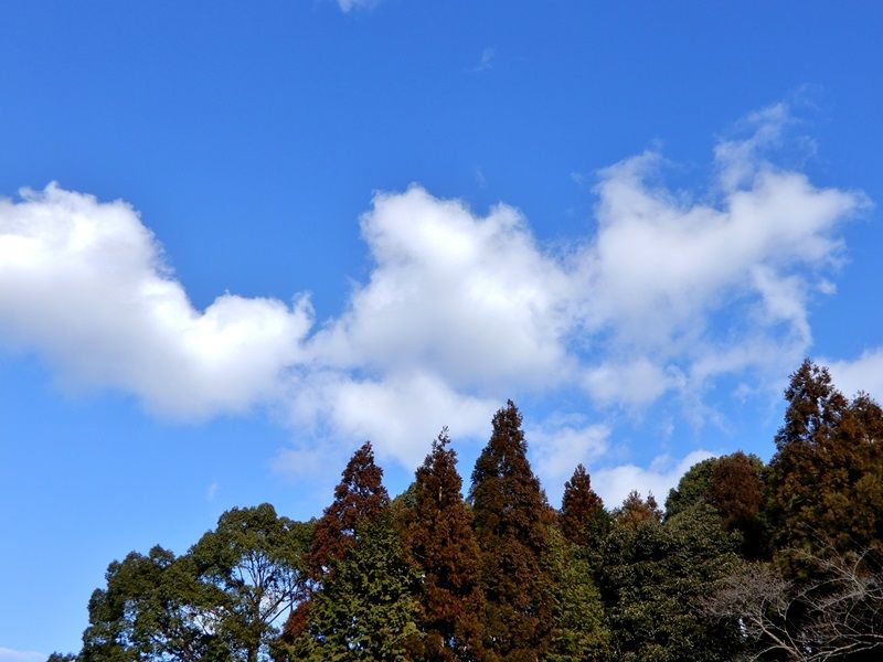 空2