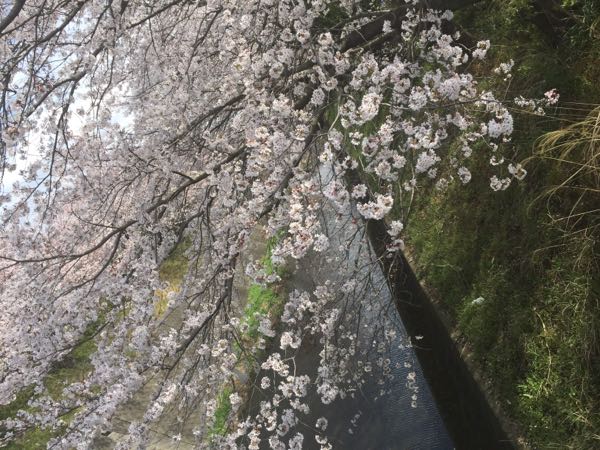rblog-20150329141946-01.jpg
