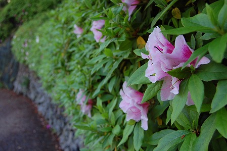 DSC_0853.jpg