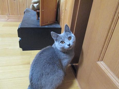 なあに？.JPG
