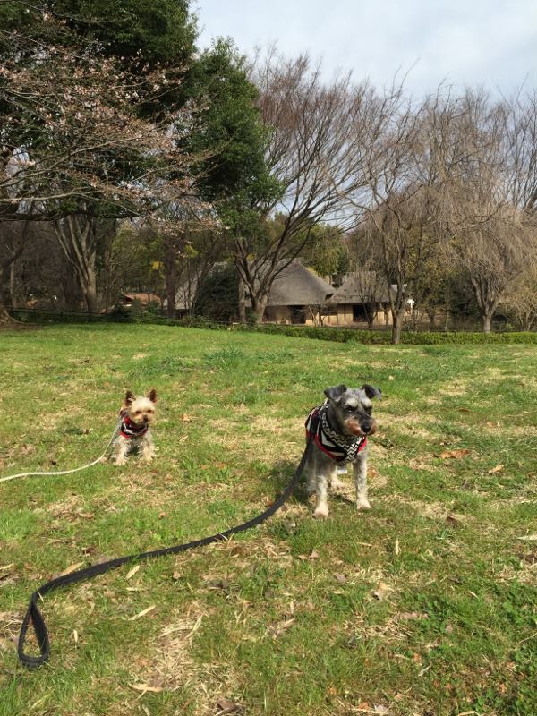 rblog-20160324021440-04.jpg