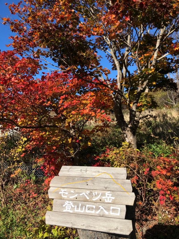 rblog-20181105002050-02.jpg