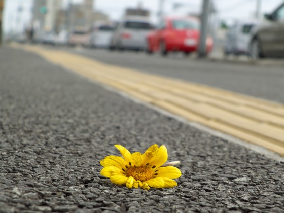 路傍