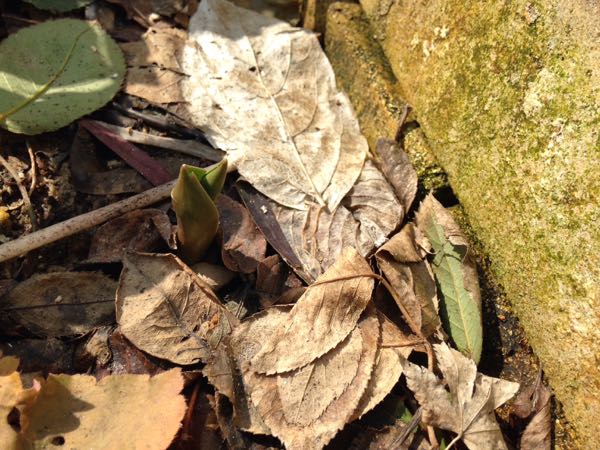 rblog-20160304222026-01.jpg