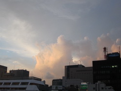 IMG_1498_サイズ変更.JPG
