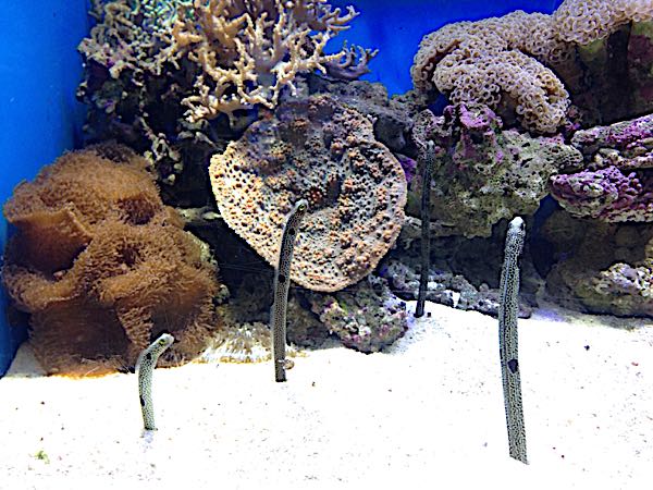 rblog-20161105012452-05.jpg