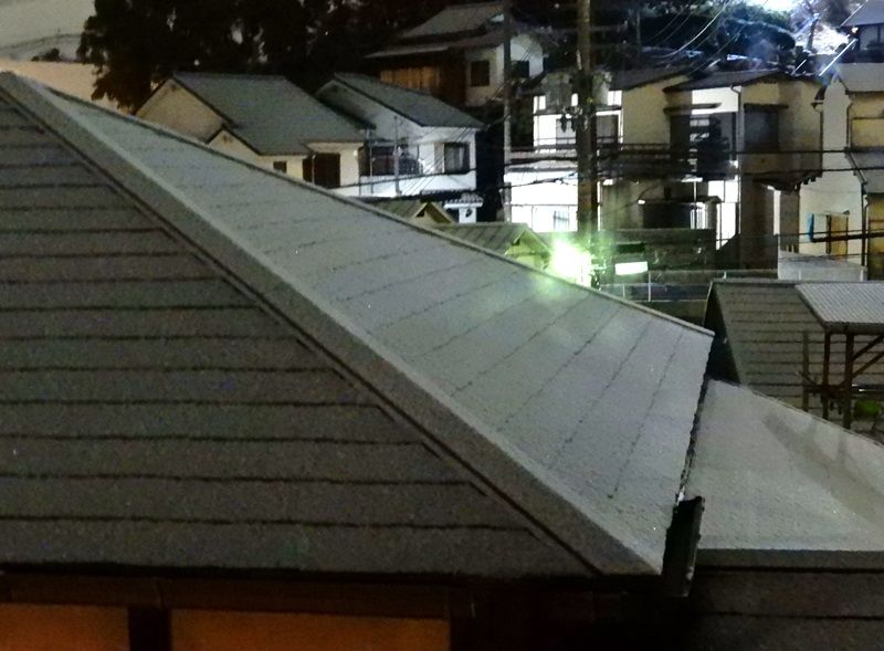 昨夜の雪1