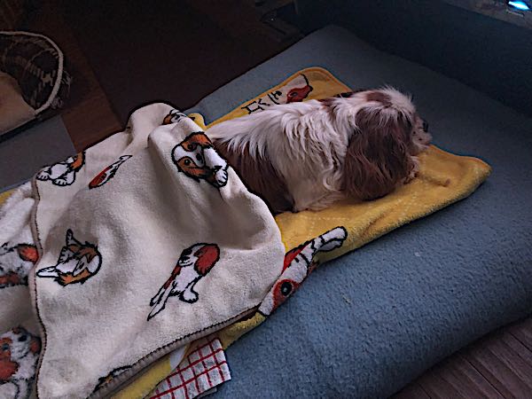 rblog-20180315161956-08.jpg