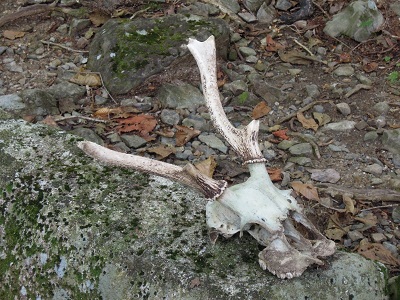 DSCN6136s.jpg
