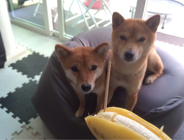 rblog-20160424215447-02.jpg