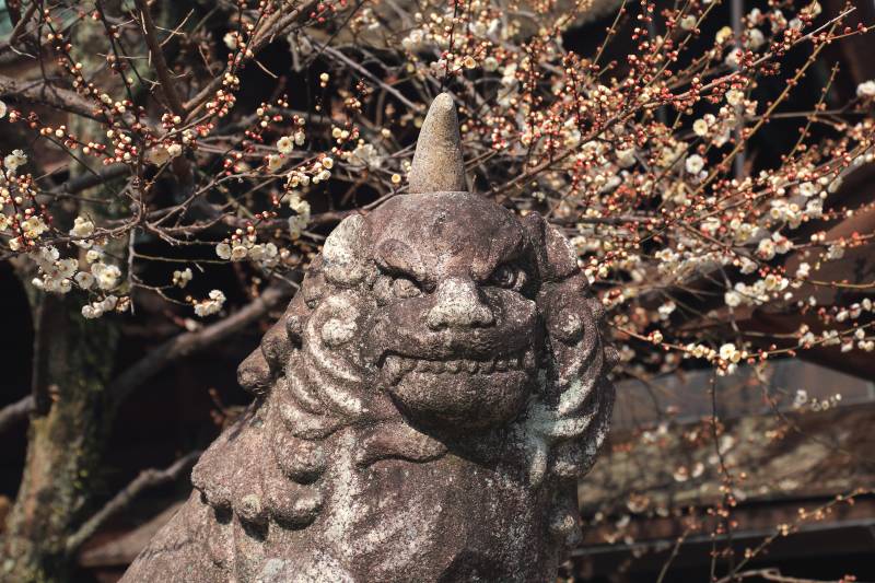 北野天満宮_003.jpg
