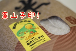 画像 8621.jpg