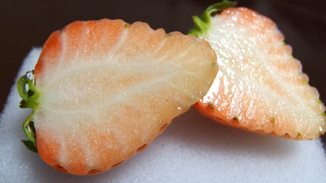 白いちご 断面