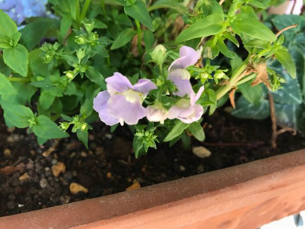 rblog-20180408161916-07.jpg