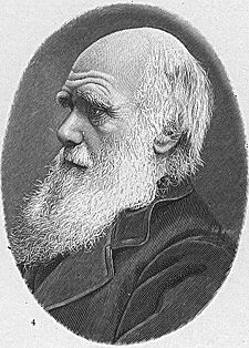 darwin.jpg