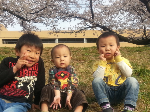 20130330_162214.jpg