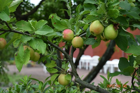 DSC_0116.jpg