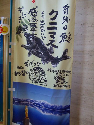 田沢湖の鱒