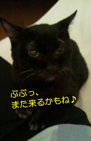 20120912_6.jpg