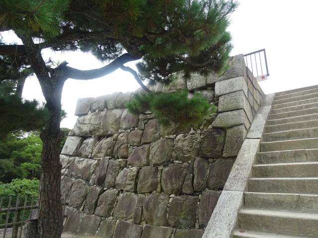 DSC05593_R.JPG