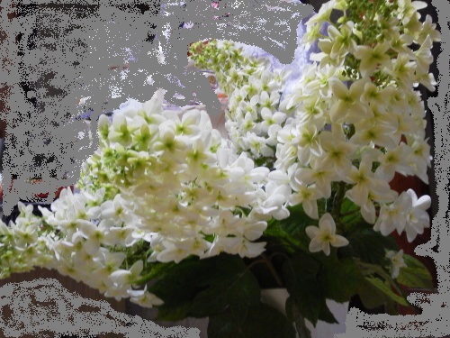 showPhoto8LZXMNER.jpg