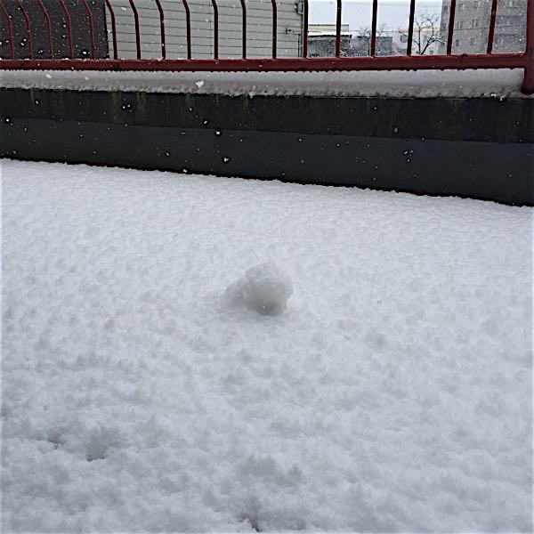 rblog-20160125174608-01.jpg