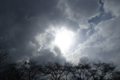 nitijou150324003