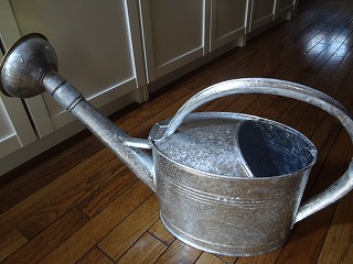 DSC05946.jpg