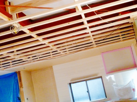 P1320183.jpg