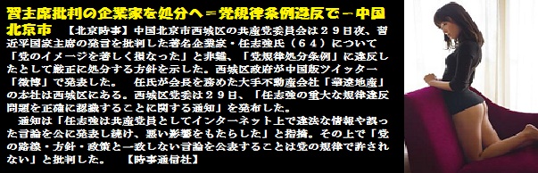 任志強-3