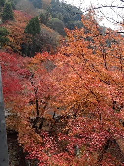 清水２.jpg