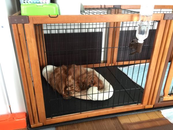 rblog-20160406121001-01.jpg