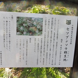 P1040031.JPG
