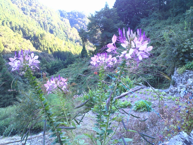 KIMG0113 (640x480).jpg