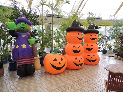 夢の島熱帯植物園09