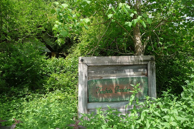 P1030950ss.jpg