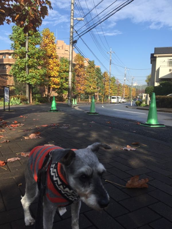 rblog-20161123065703-07.jpg
