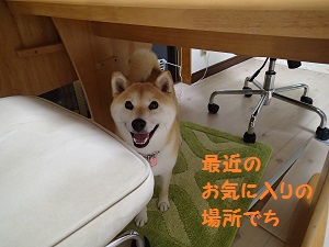 okiniiri