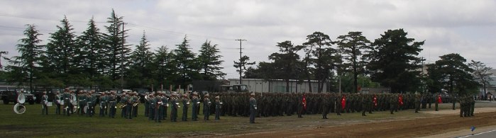 IMGP2967-1.jpg
