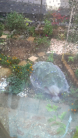 rblog-20131105191954-02.png