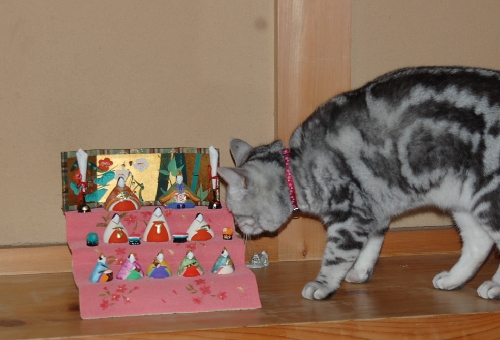 DSC_0097.JPG