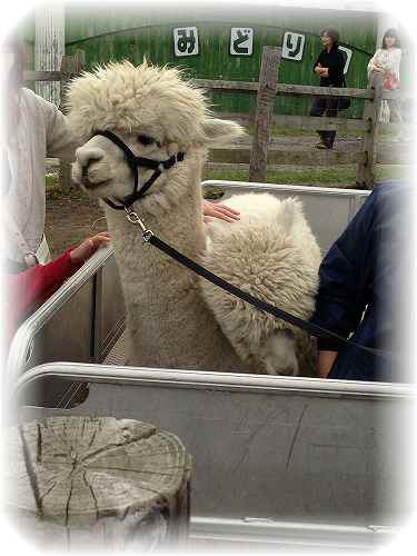 iphone　カメラロール 077.jpg