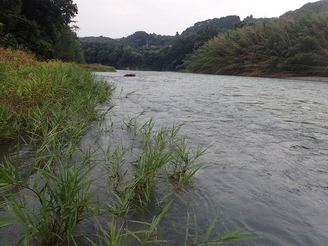 resize0005.jpg