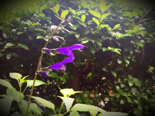 rblog-20160625182925-08.jpg