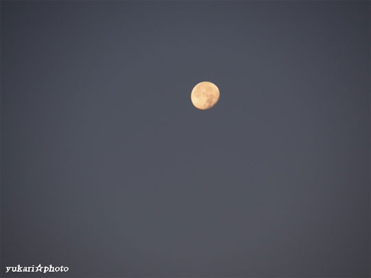 moon2016111702.jpg