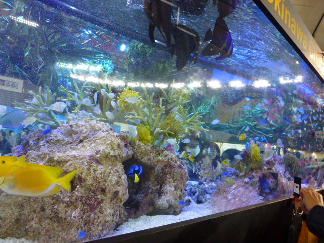 586 水族館