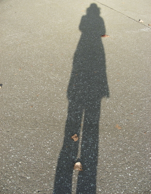 2017-11-07kage.JPG