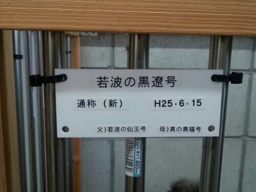 rblog-20160224112051-02.jpg