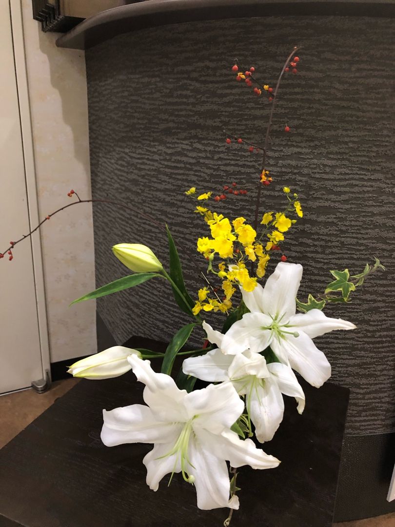 花と犬 姫ブログ 手巻き姫の宮古暮らし 浄土ヶ浜旅館の女将日記 楽天ブログ